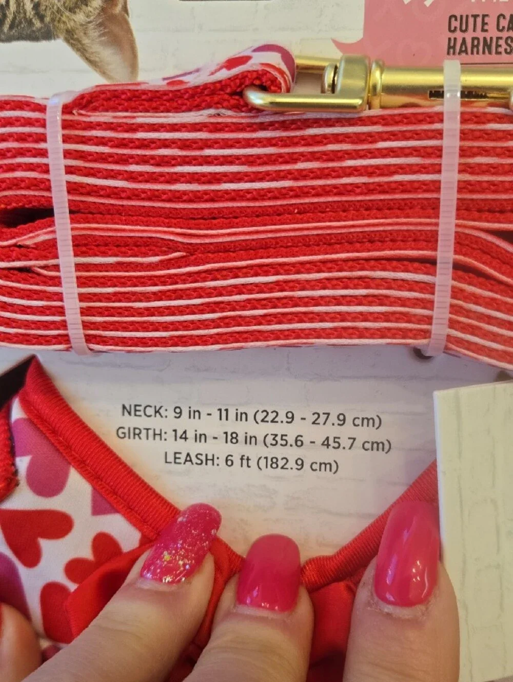 Cute Cat (Sm. Dog) Comfort Red & Pink Heart Harness with Bow